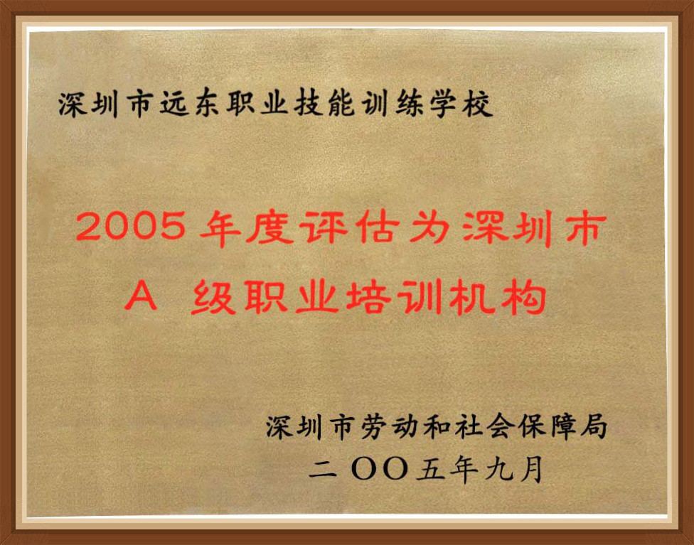 2005年A级职业培训机构