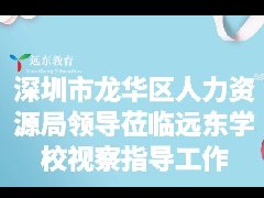 深圳市龙华区人力资源局领导莅临远东学校视察